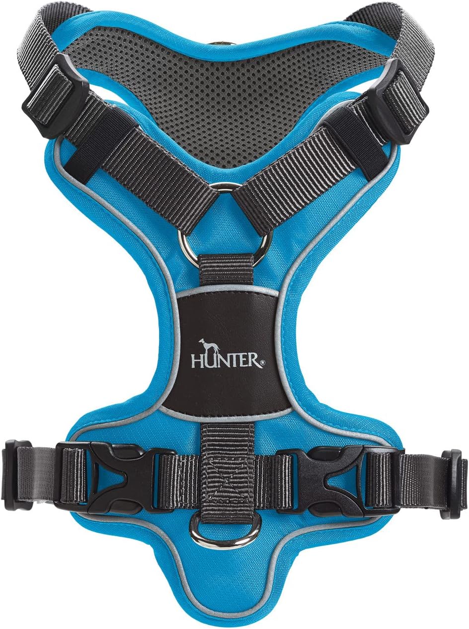 Geschirr Divo, 56 - 73 cm, hellblau/grau