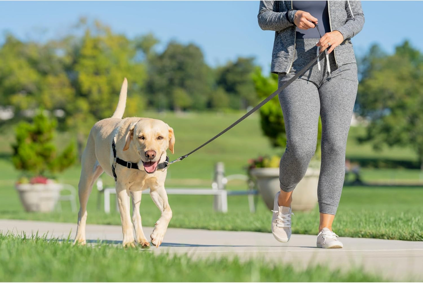 Easy Walk Anti-Zieh-Hundegeschirr mit 1,8 m Leine, XL Rot