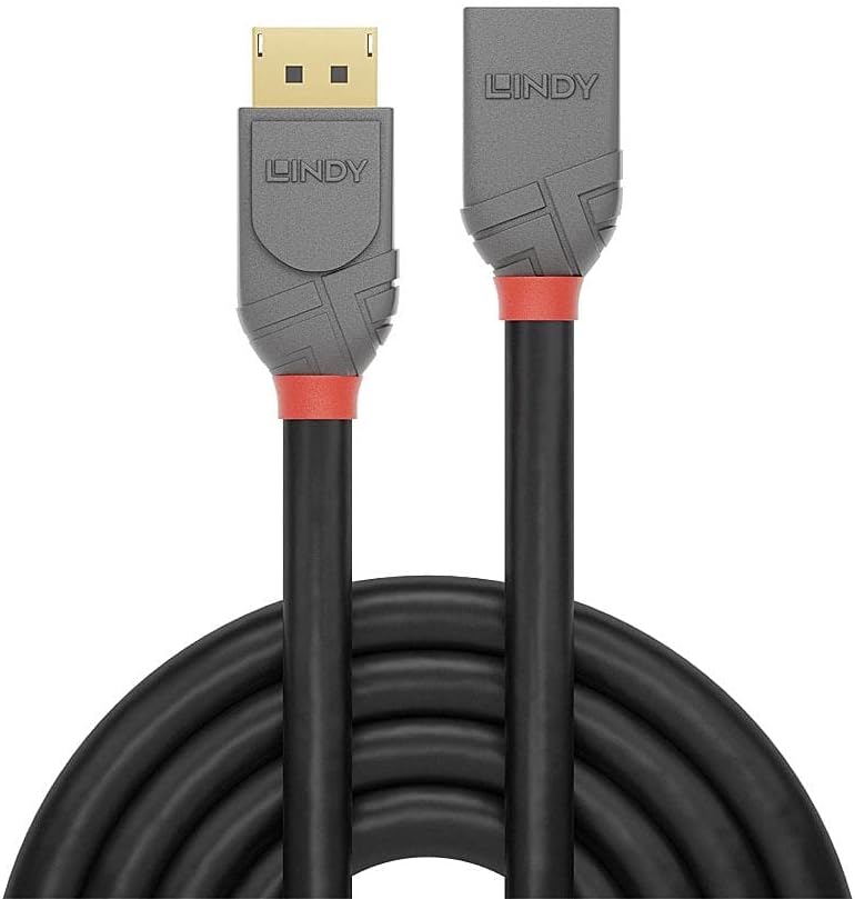 DisplayPort — DisplayPort