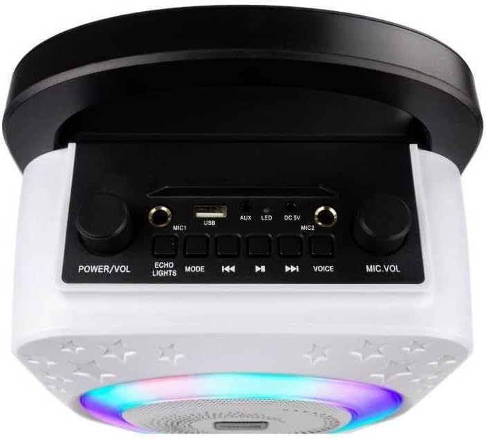 Bluetooth Karaoke Maschine (mit 2 Mikrofonen), Black Disco Light
