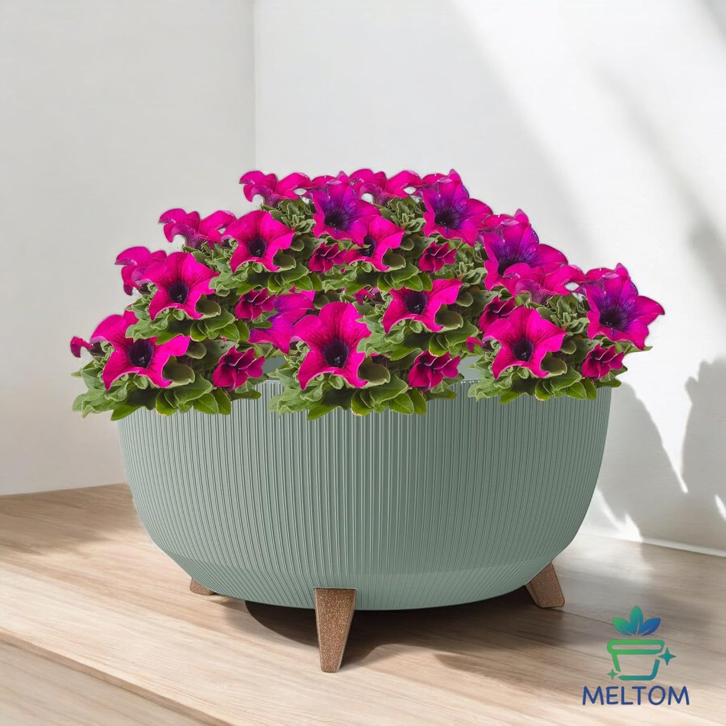 Blumentopf Schale, Grün XL - 47 cm