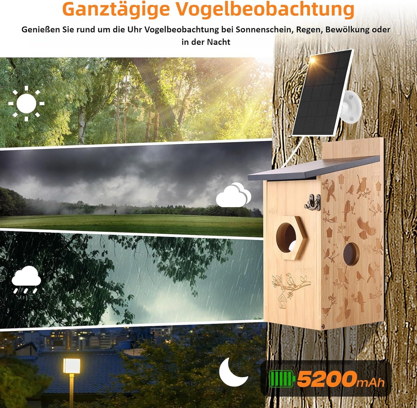 Nistkasten mit Kamera & Solar, Bambus Vogelhaus Solar Kamera