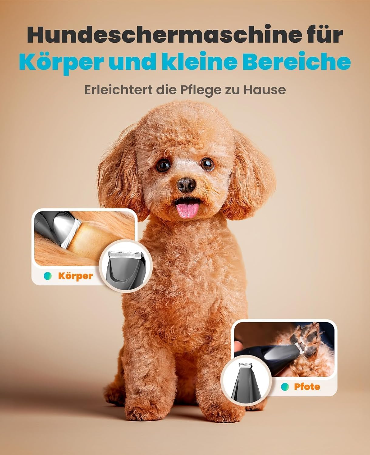 Hundeschermaschine & Pfotentrimmer, Blau, 2-in-1