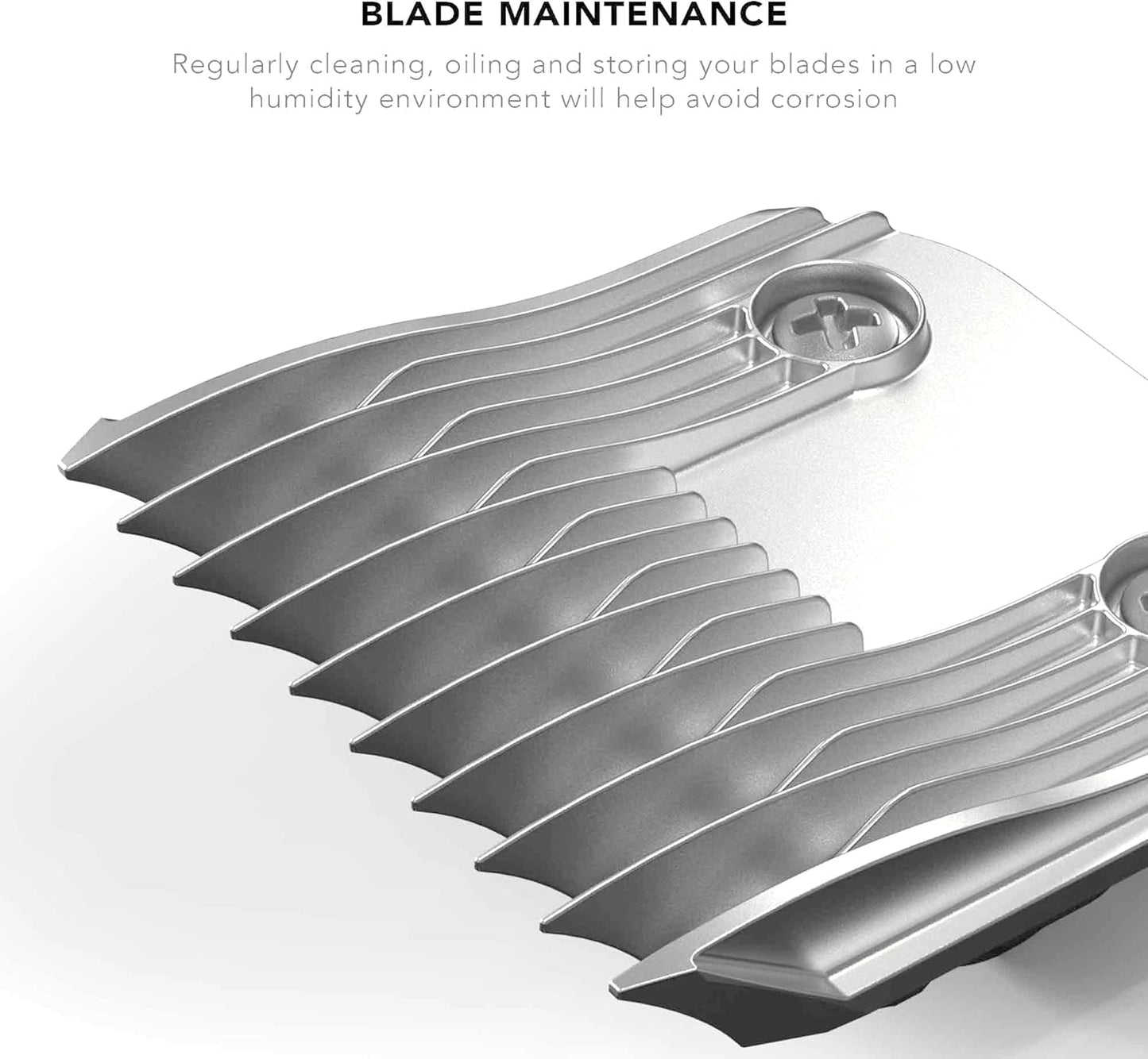 Schneidsatz Beret Blade