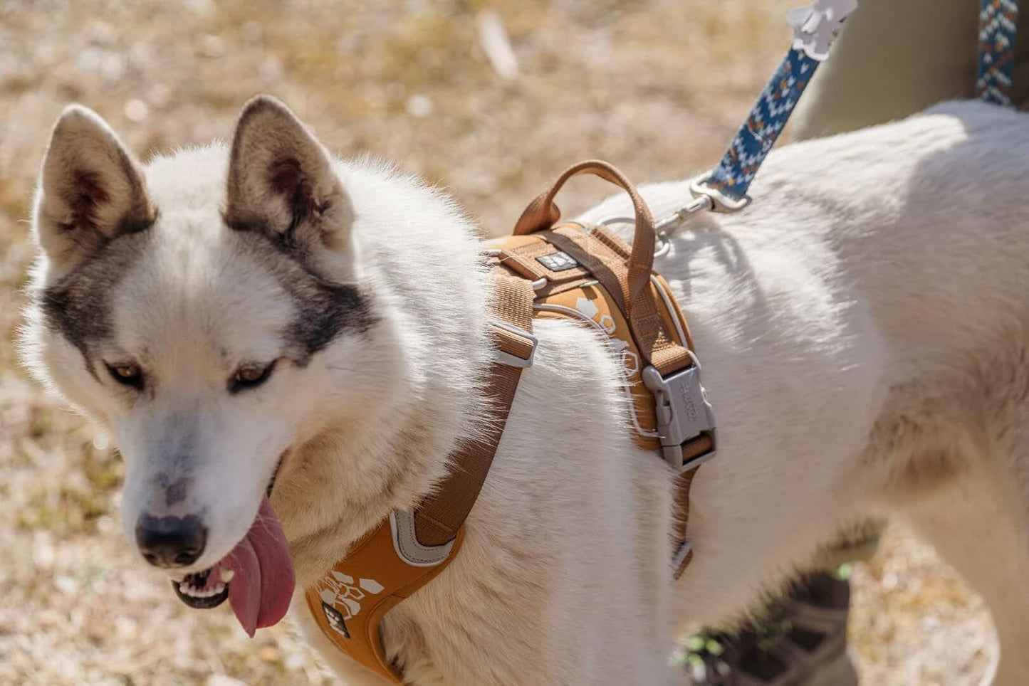 Weekend Warrior Hundegeschirr, Desert / 40-45 cm