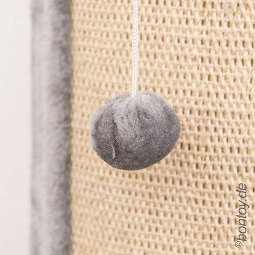 Kratzecke Iris mit Spielball