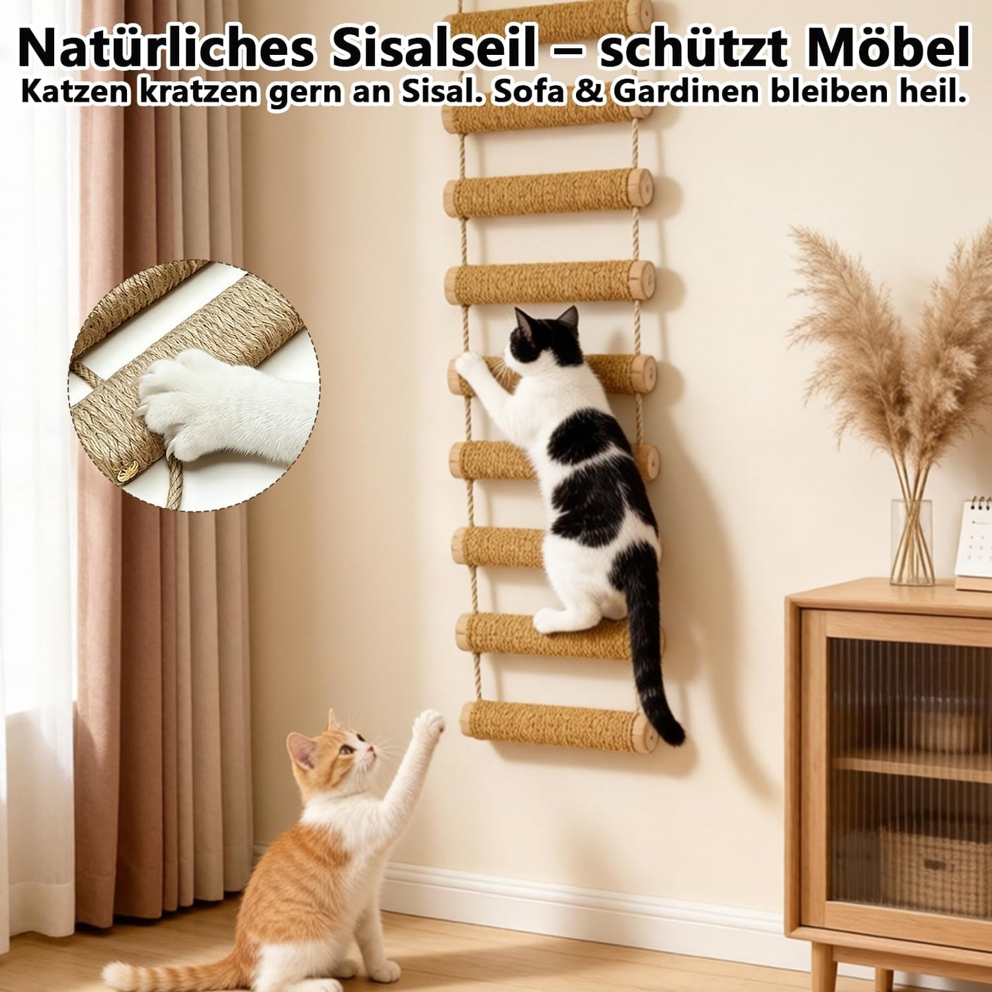 2-in-1 Kletterleiter & Katzentreppe