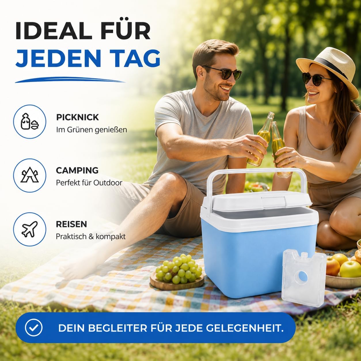 Kühlbox mit Kühlelement, Blau