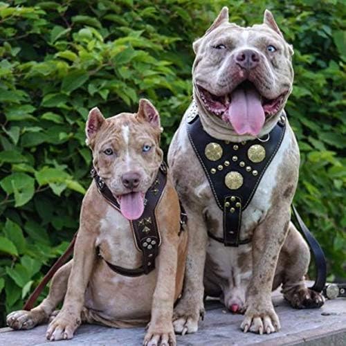 Echtleder Hundegeschirr, XXL- passt auf einen Brustumfang von 95 bis 145 cm