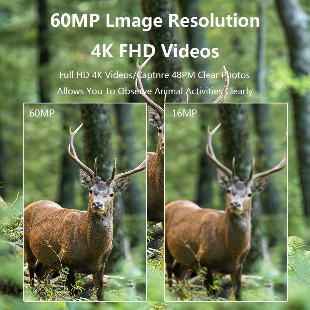 4K Wildkamera mit Bewegungsmelder und Nachtsicht