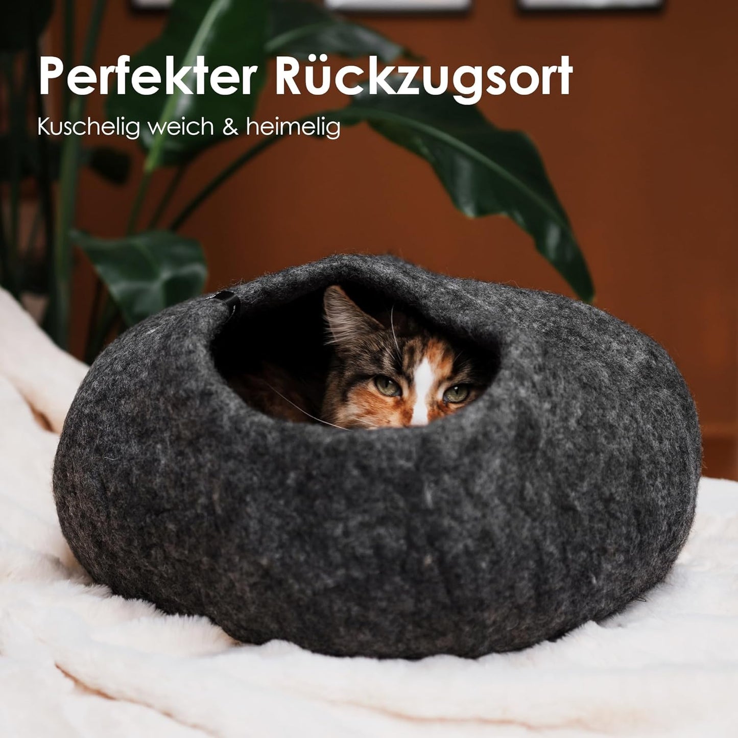Katzenhöhle Pebble, Grau