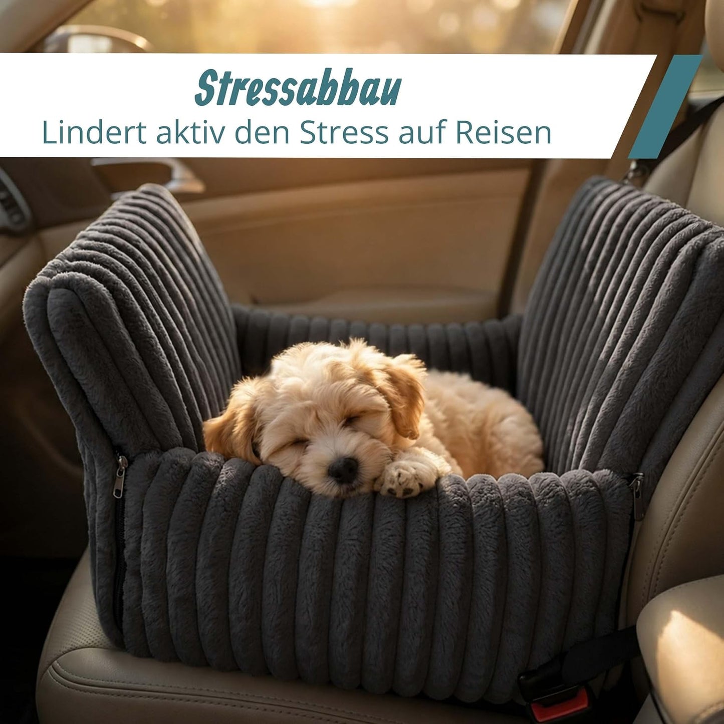 Hundeautositz, grau