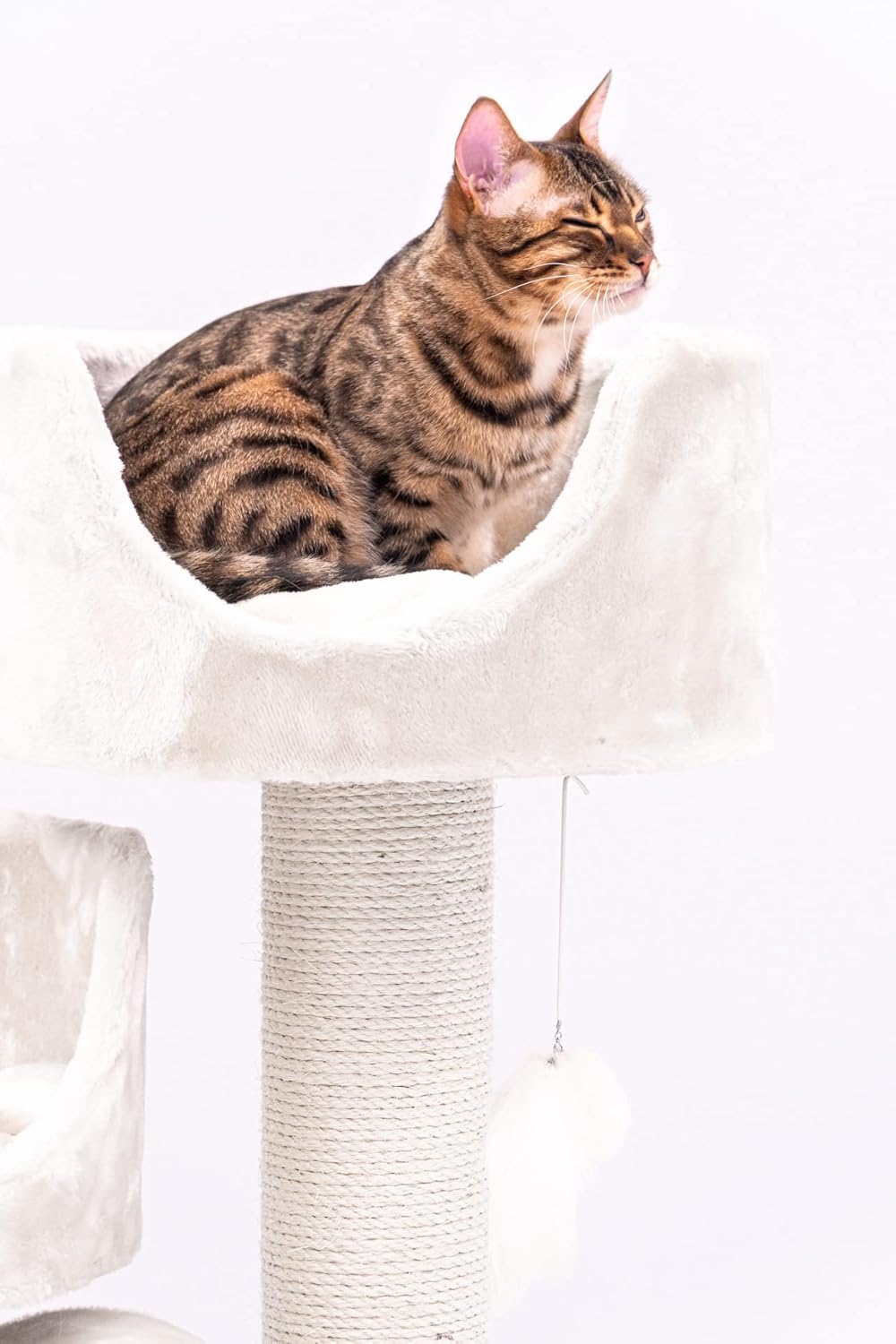 Kompakter Kratzbaum für Seniorenkatzen, Creme