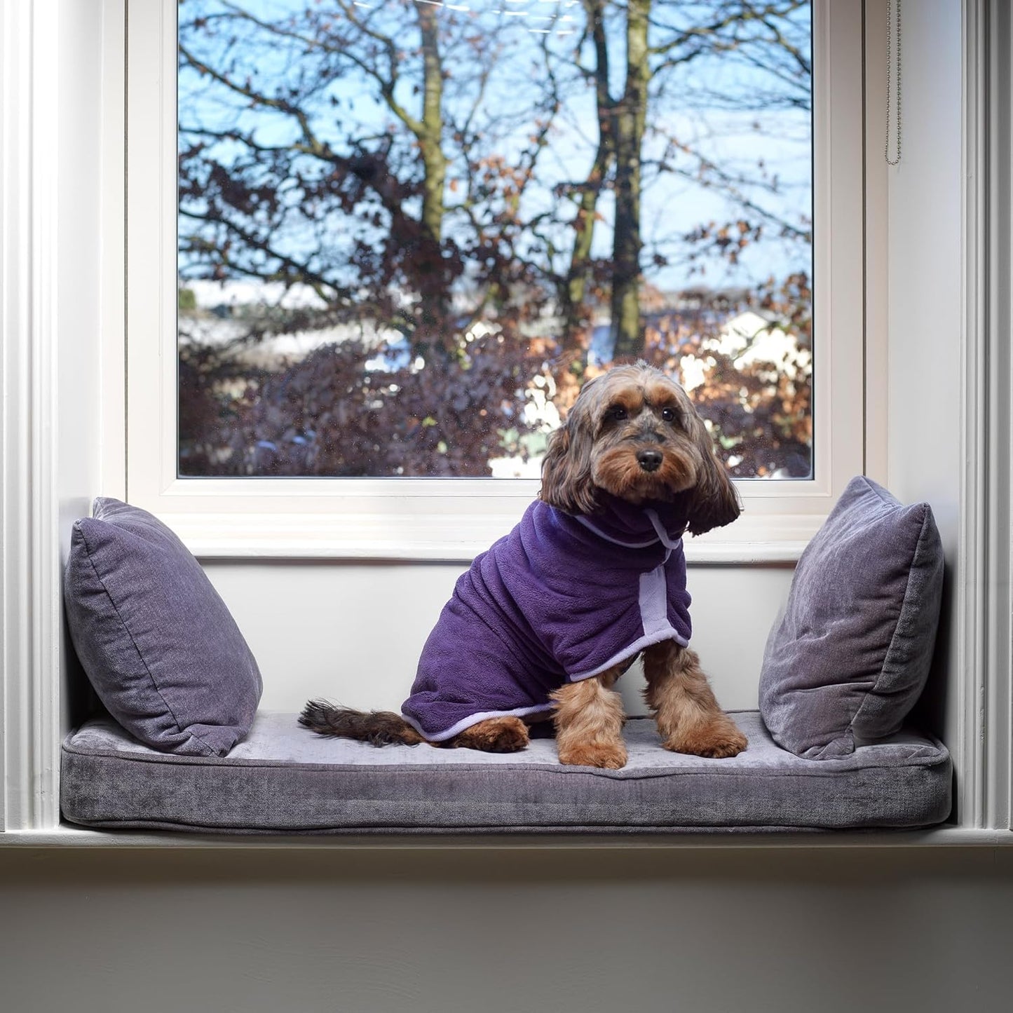 Hundebademantel, XXL Aubergine