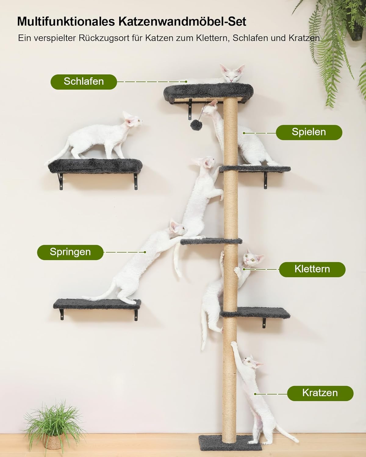 Katzen-Kletterwand, Grau