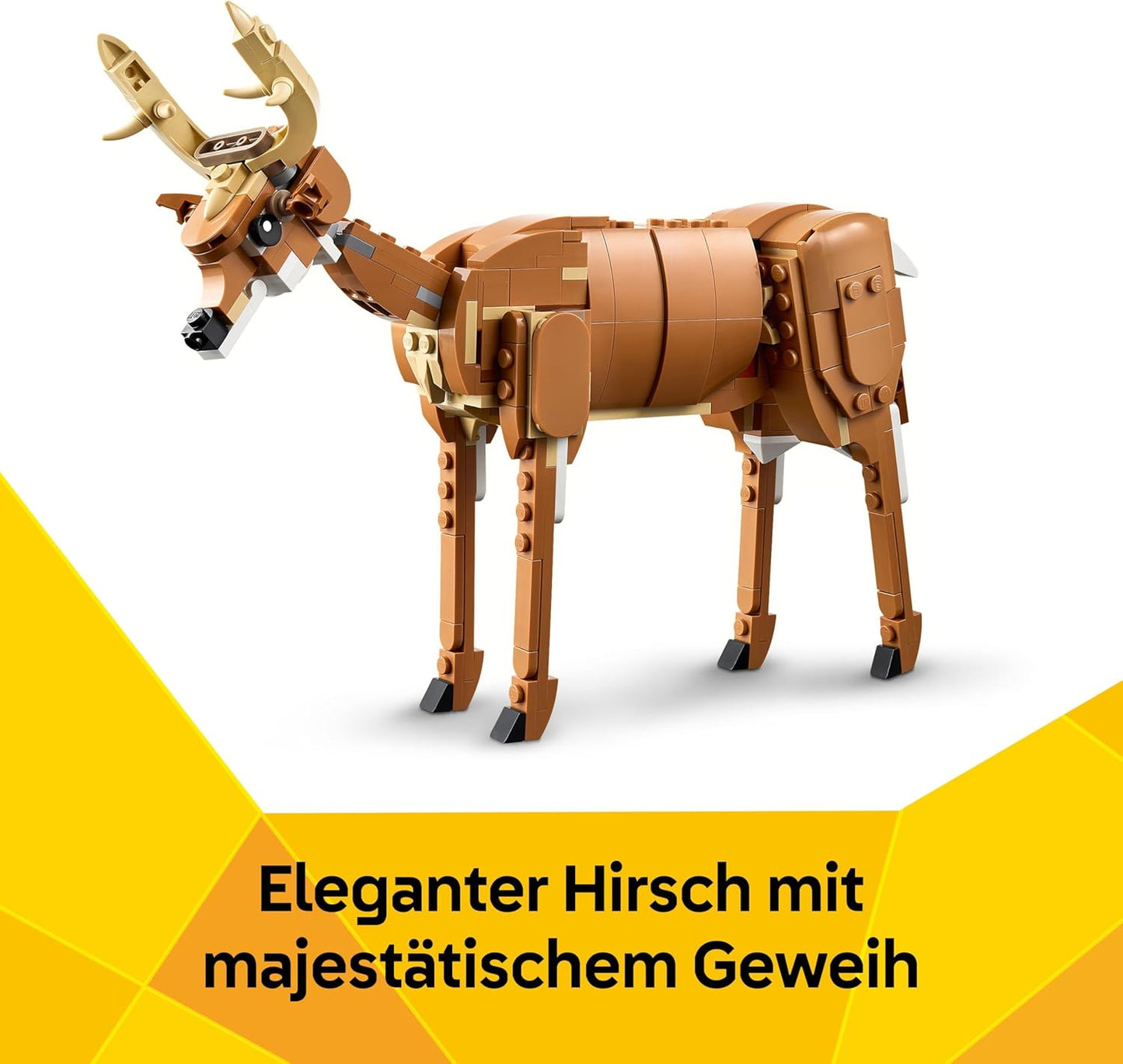 Prächtiges Ross