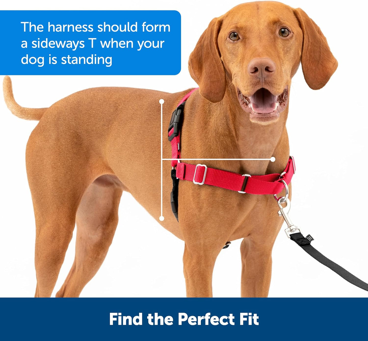 Easy Walk Anti-Zieh-Hundegeschirr mit 1,8 m Leine, XL Rot