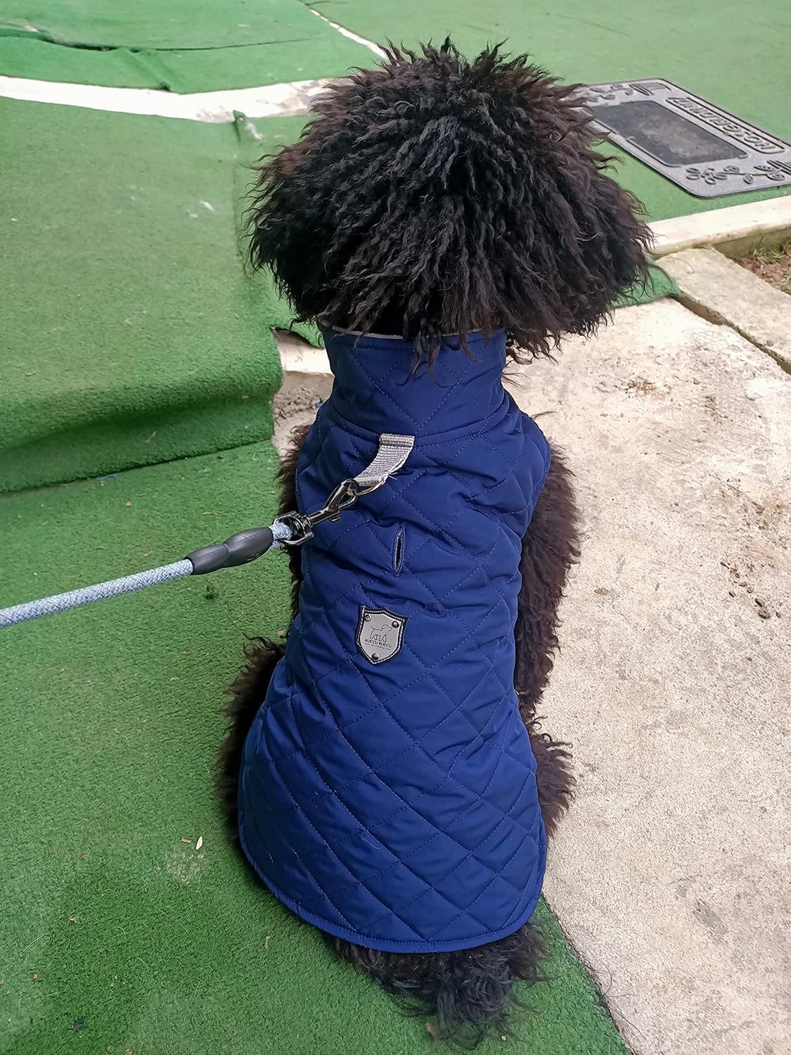 Wasserabweisender Hundemantel, XL / Blau
