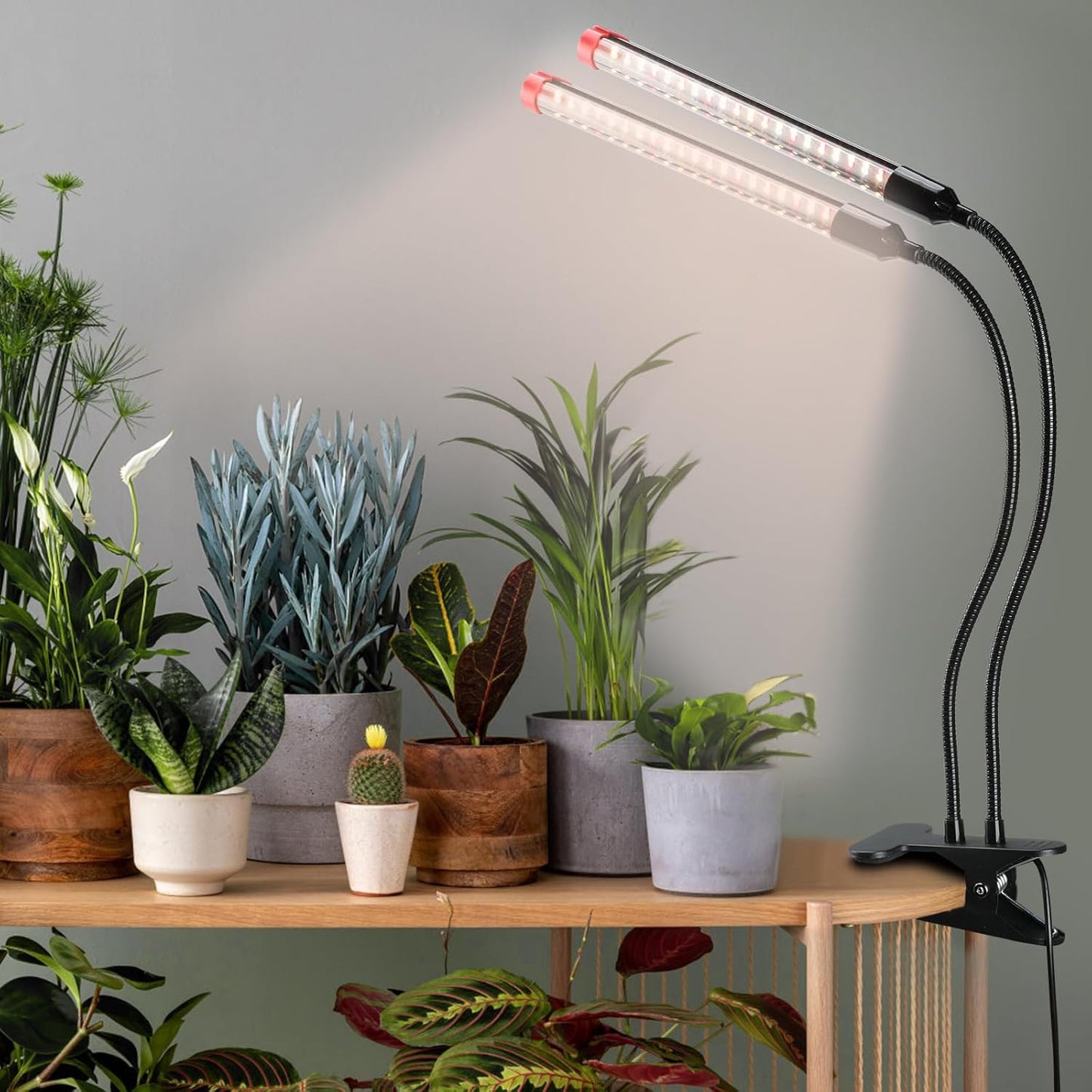 Clip-Pflanzenlampe mit Timer, Clip-18W-2000Lm