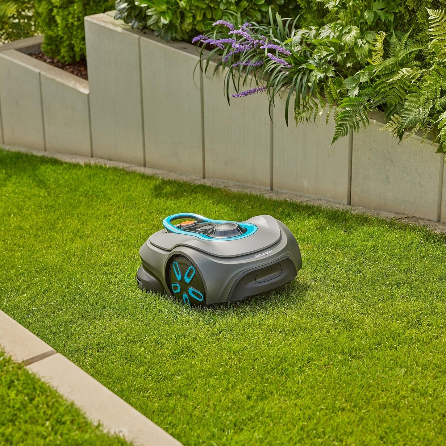 Smart Sileno Free Mähroboter mit App-Steuerung