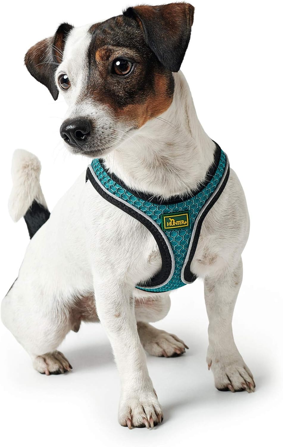 Hundegeschirr Hilo Comfort, türkis XXS