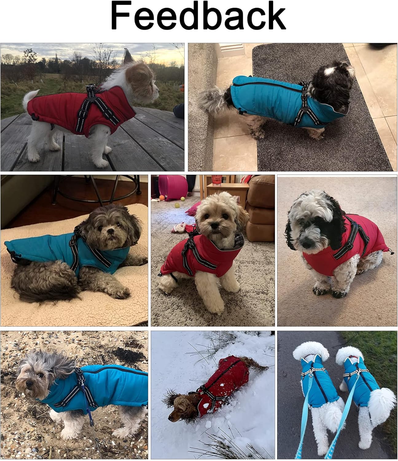 Wintermantel für Hunde, S Rot