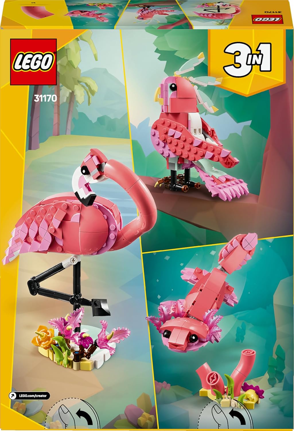 Wilde Tiere: Rosa Flamingo