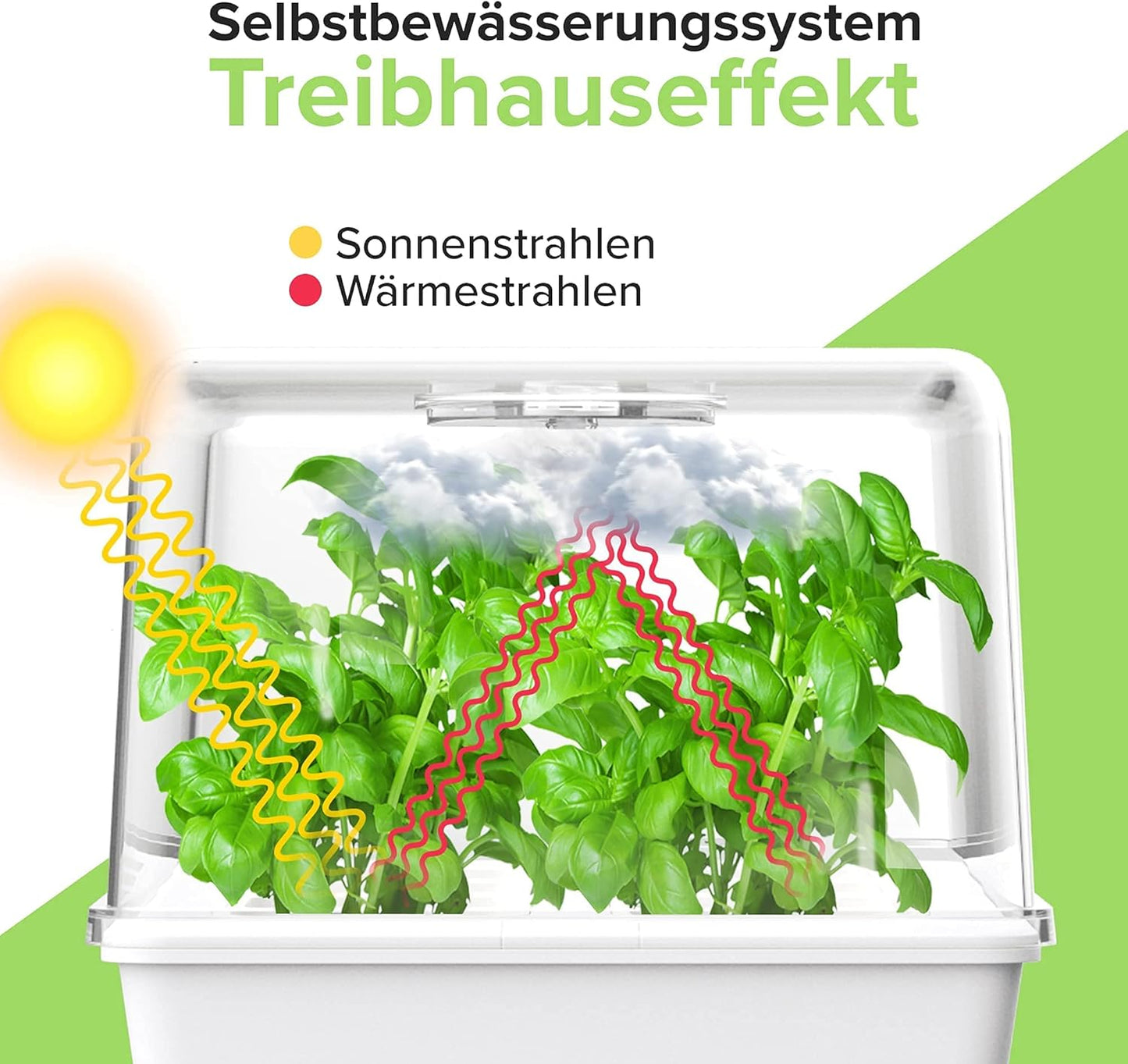 Mini Gewächshaus mit Selbstbewässerungssystem, Zimmergewächshaus