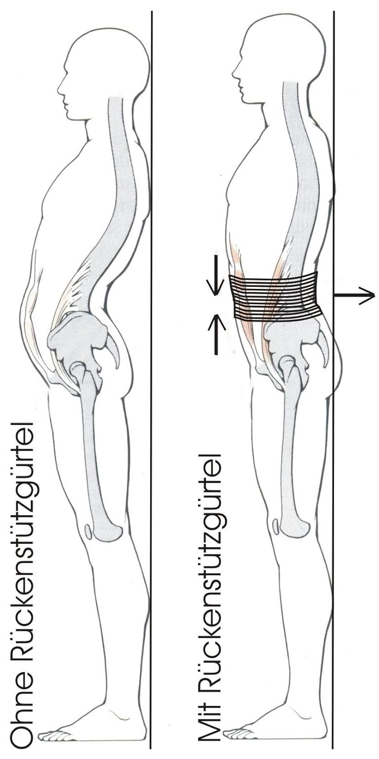 Bauch- und Rückenstützgürtel Slim Gr. 2 (90-110cm), Gr. 2 Slim (Breite 18,5 cm, Umfang 90-110cm)