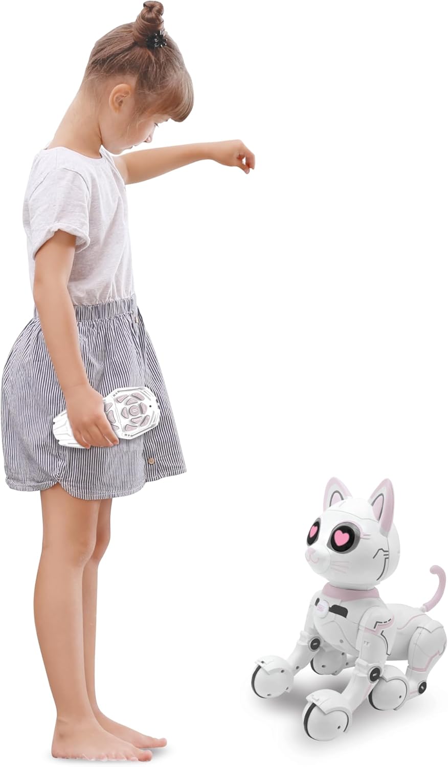 Robotic Kitty, KITTY01