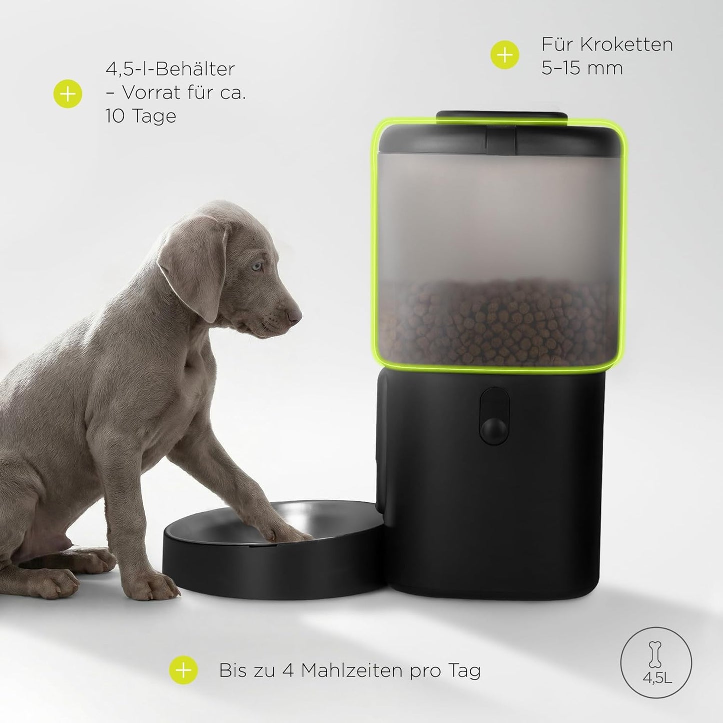 Automatischer Hunde-Futterspender mit Timer