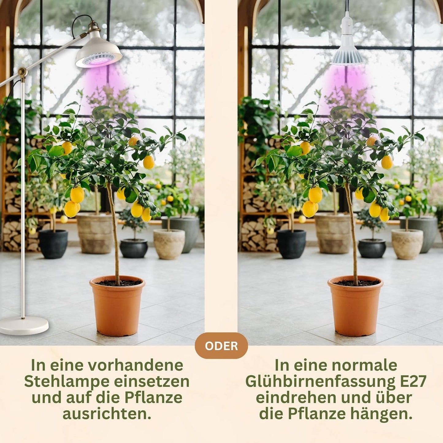 LED-Pflanzenlampe SPOT
