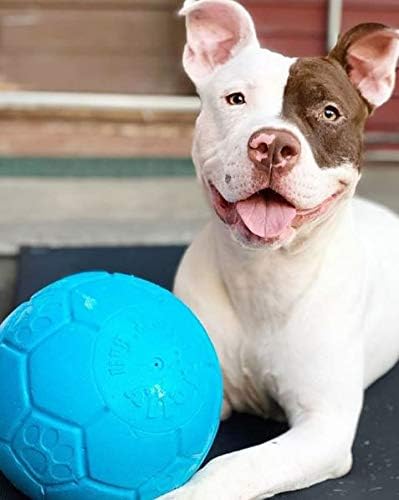 Hundespielzeug Fussball, Large / X Large ozeanblau