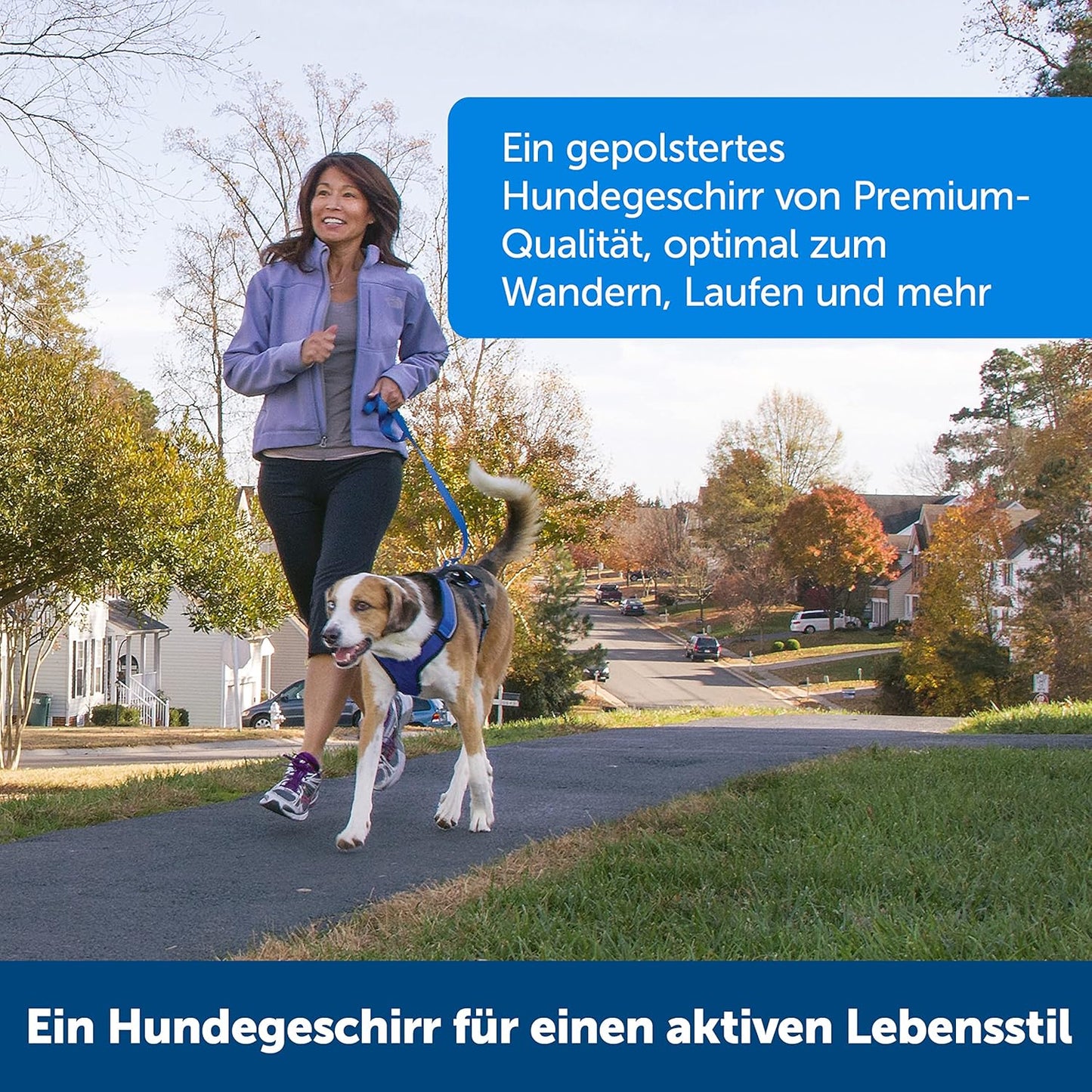 EasySport Hundegeschirr mit gepolstertem Griff, Mittel / Blau