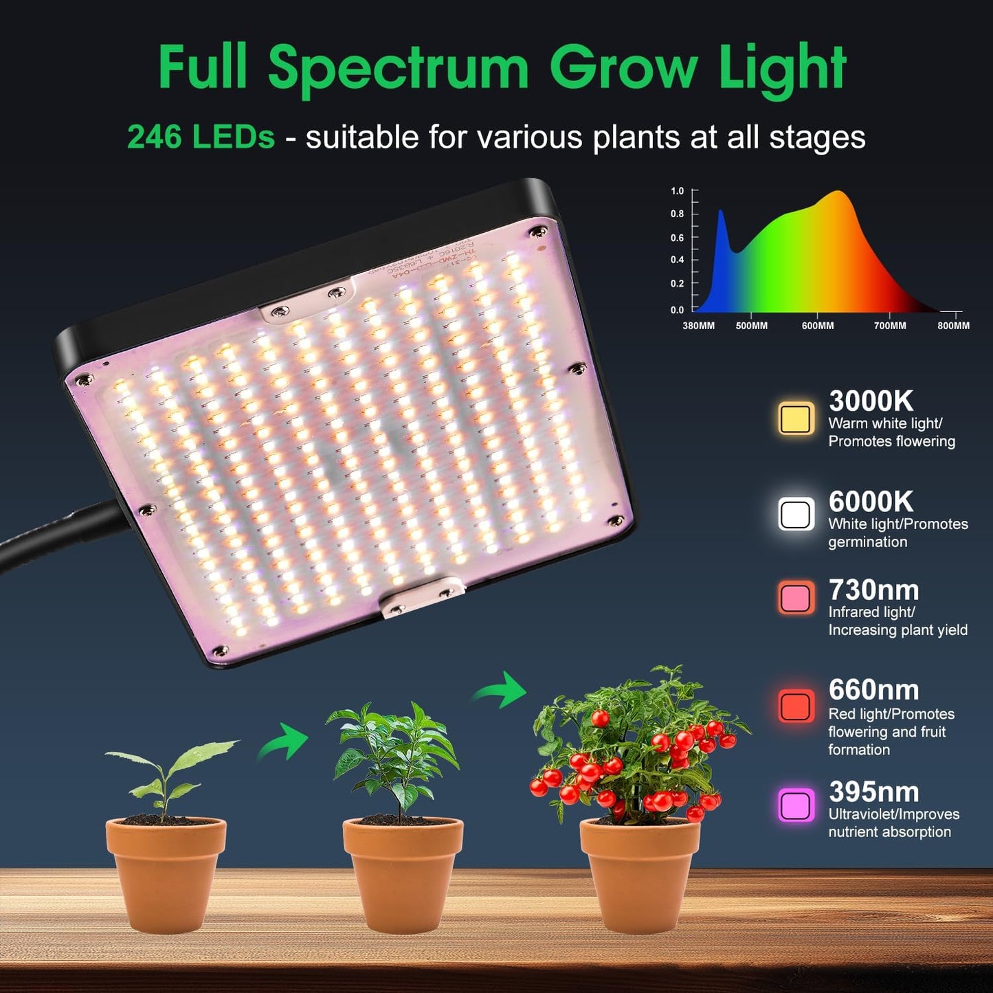 LED-Pflanzenlampe mit Ständer & Timer, Einzelkopfständer/Schwarz