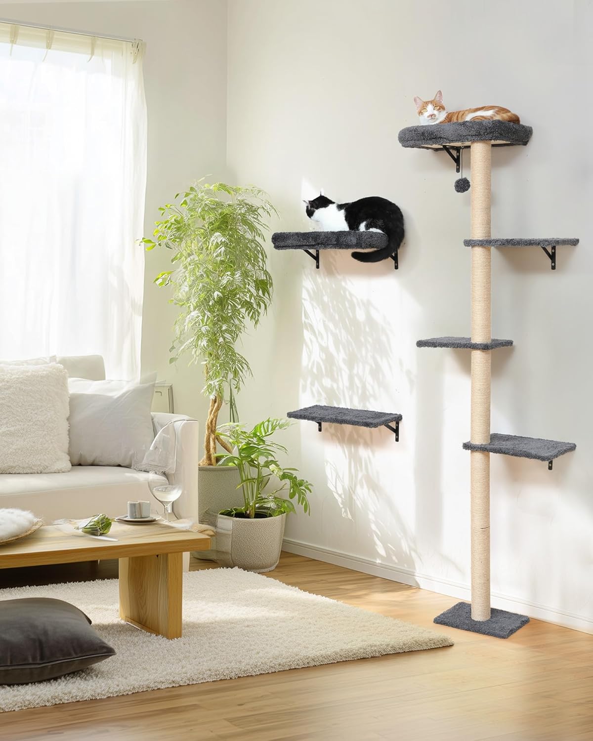 Katzen-Kletterwand, Grau