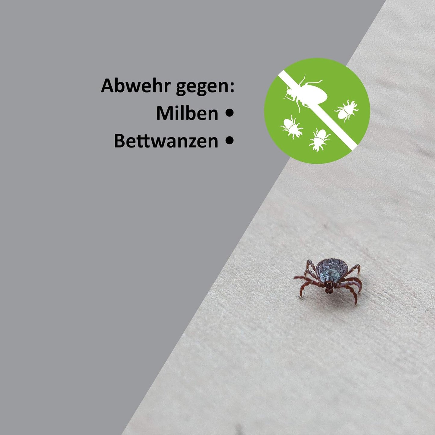 Milbenschutz, 3