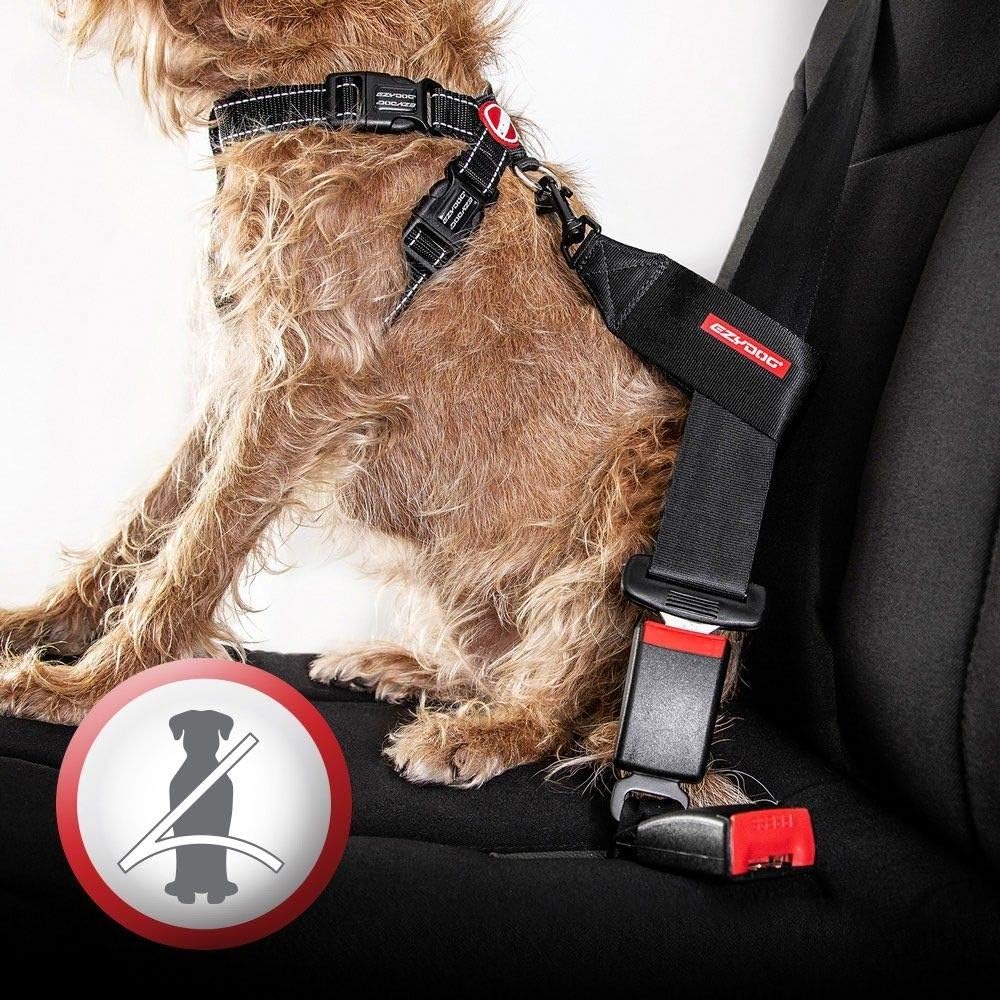 Hundegeschirr mit Sicherheitsgurt, XS Black
