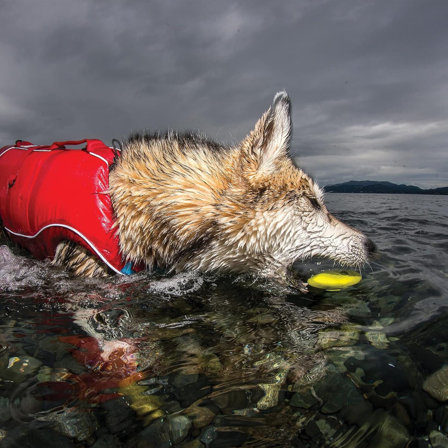 3er-Pack Schwimmende Apportiersteine, 3 Stück