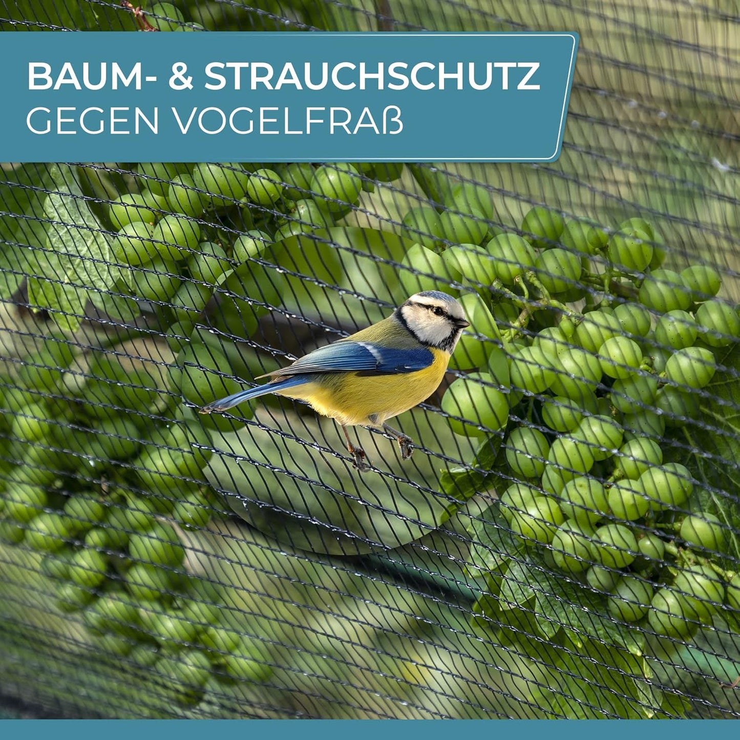 Teichnetz feinmaschig, 2 x 10m