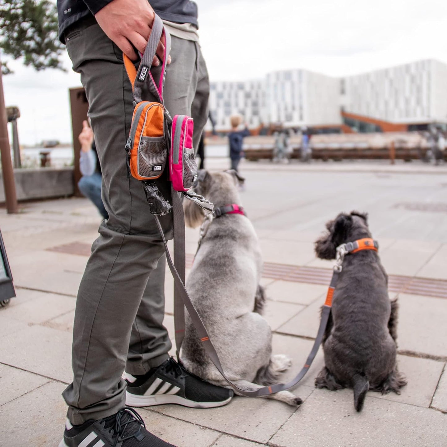 V2 Pouch Organizer für Hunde, Schwarz