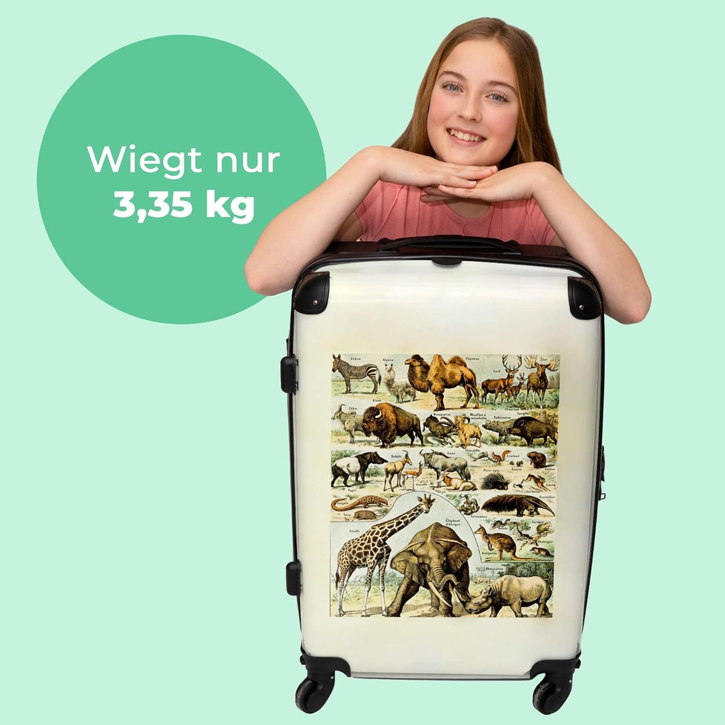 Grosser Trolley-Reisekoffer