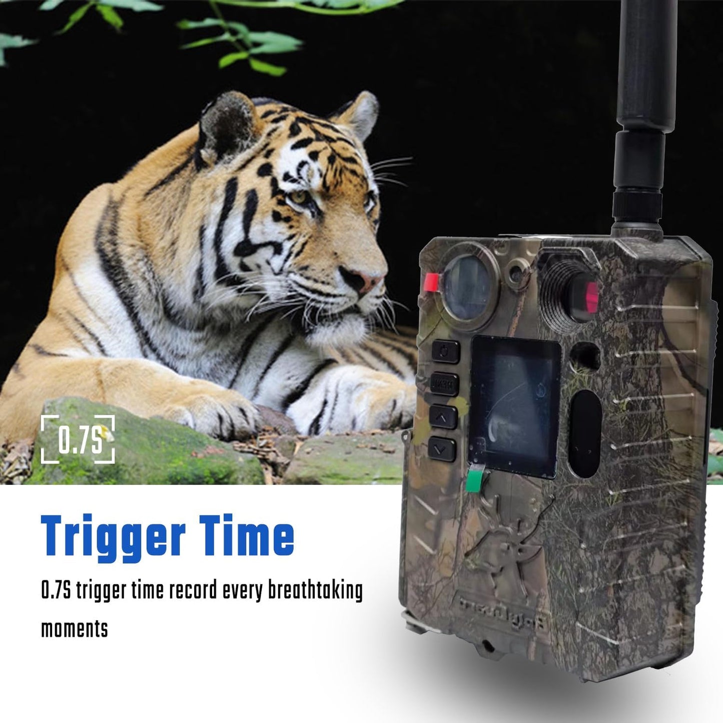 Wildkamera ‎BG410-MS