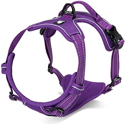 Reflektierendes Truelove Hundegeschirr, M Lila