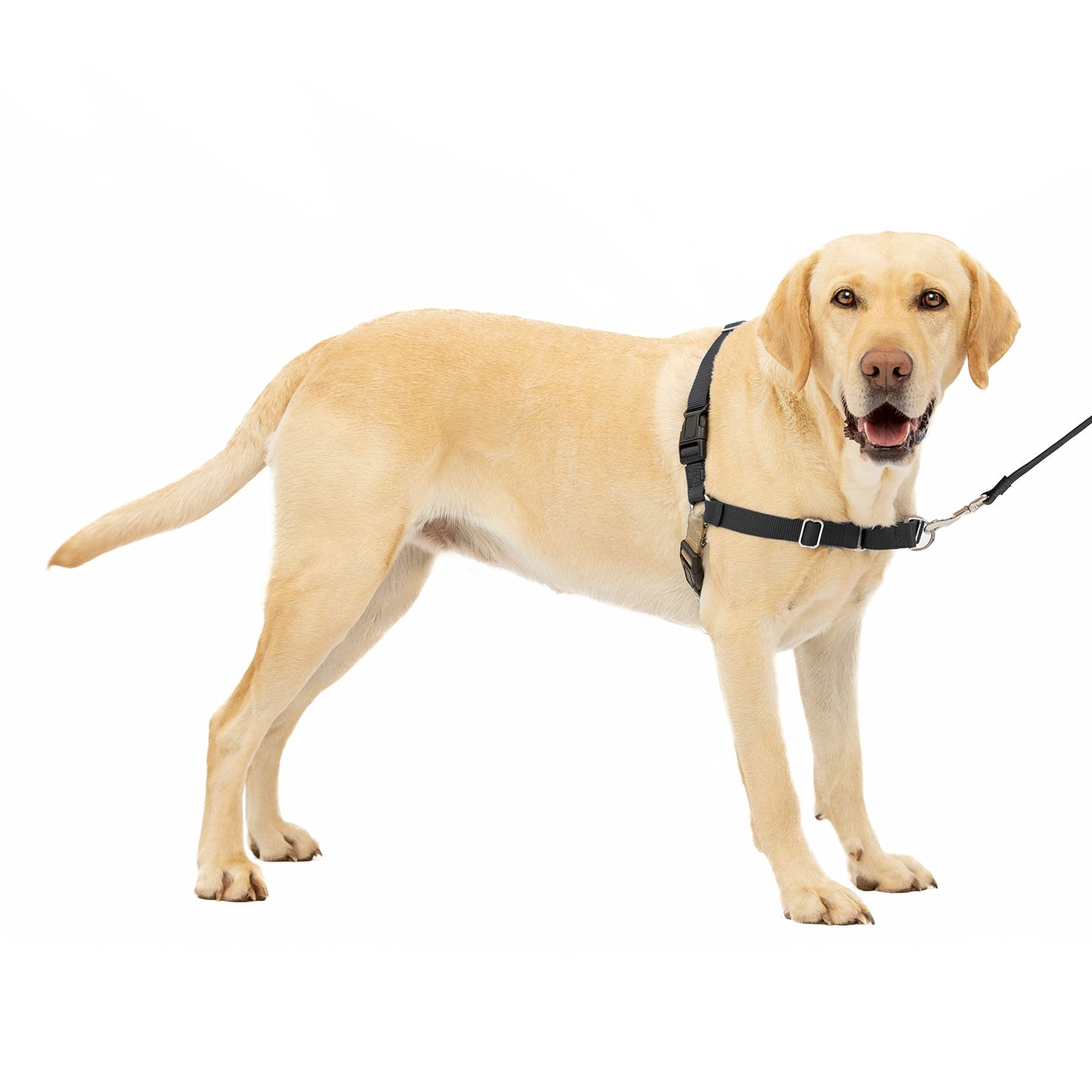 Easy Walk Anti-Zieh-Hundegeschirr mit Leine, L Schwarz