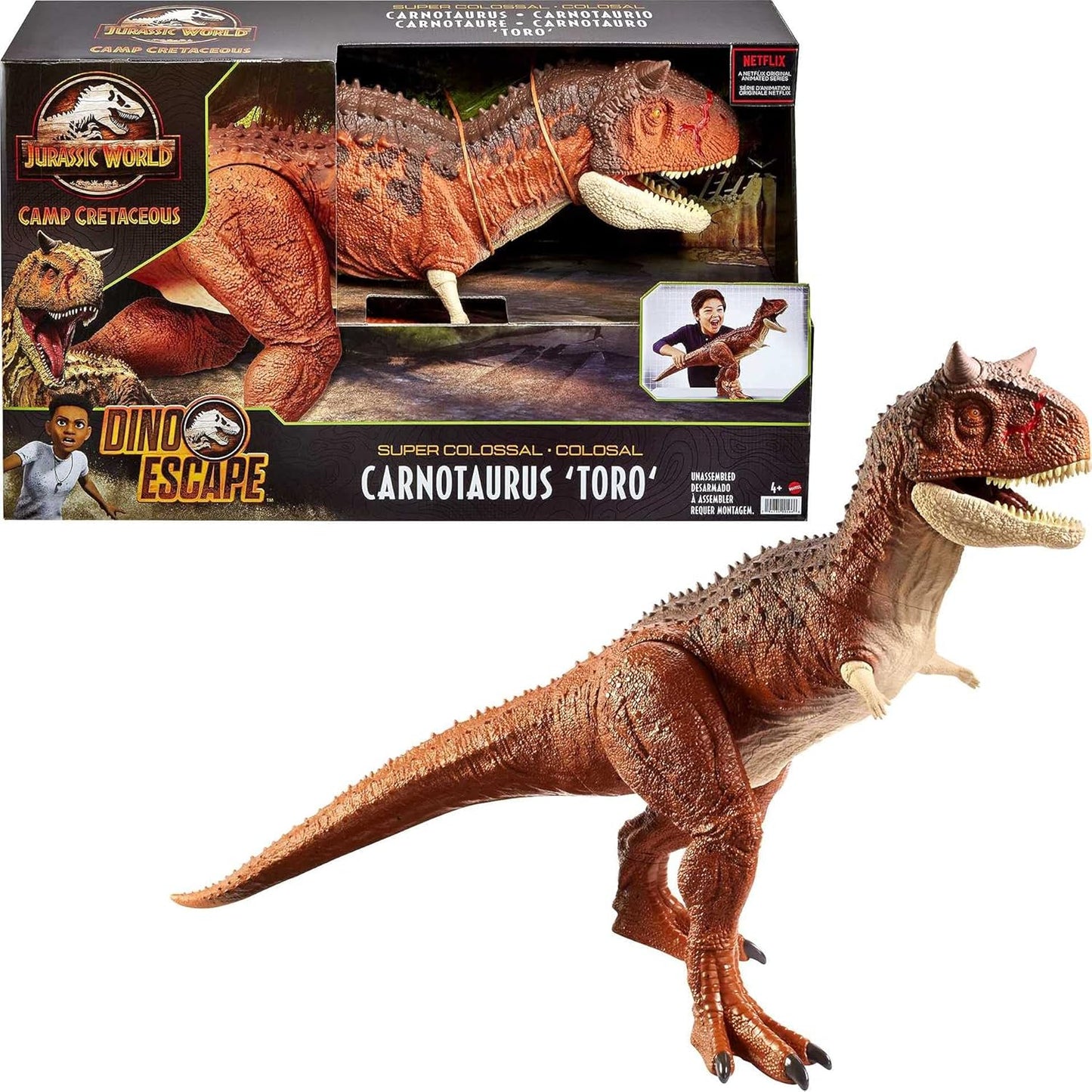 Riesendino Carnotaurus Toro, Carnotaurus Single