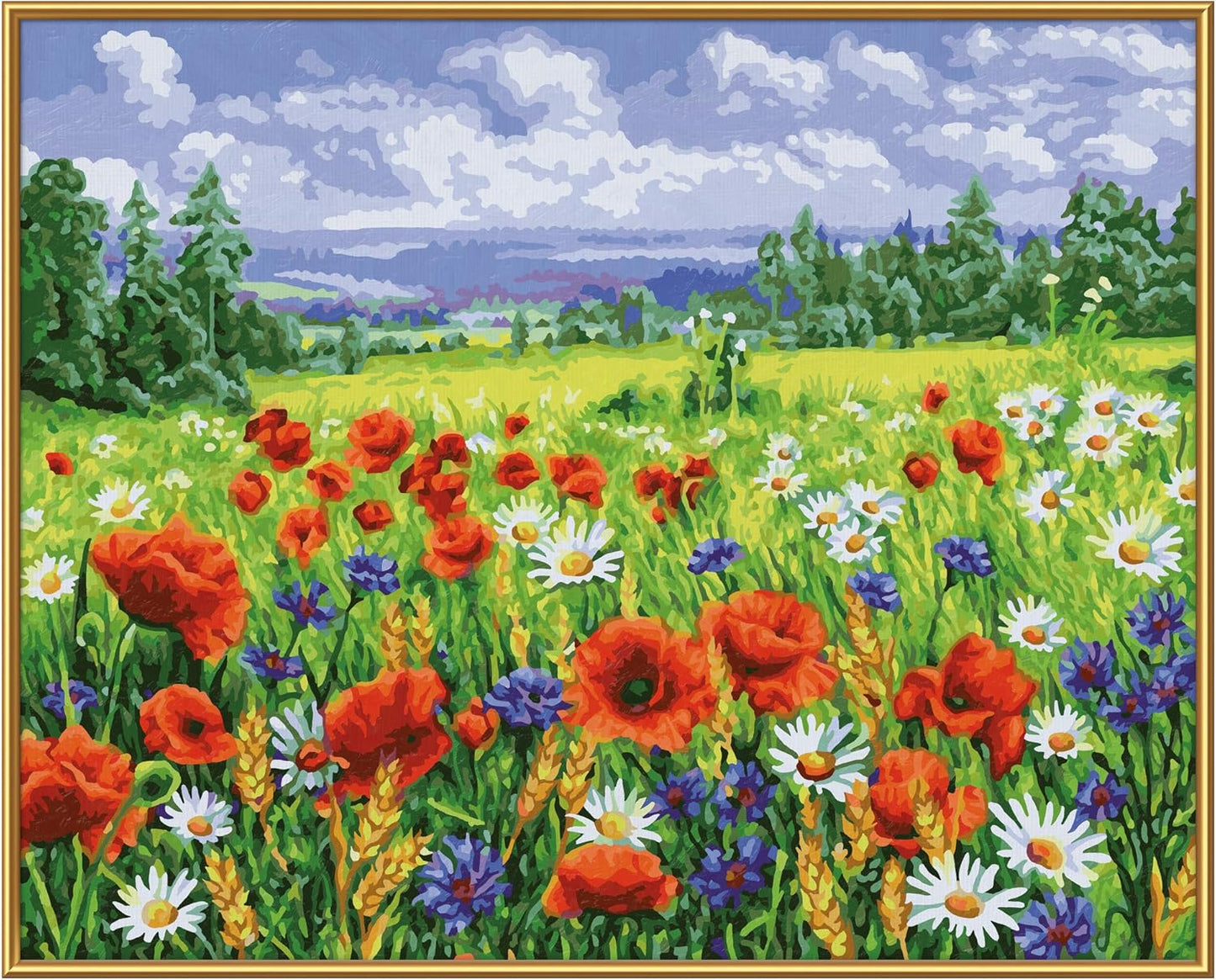 Malen nach Zahlen Blumenwiese