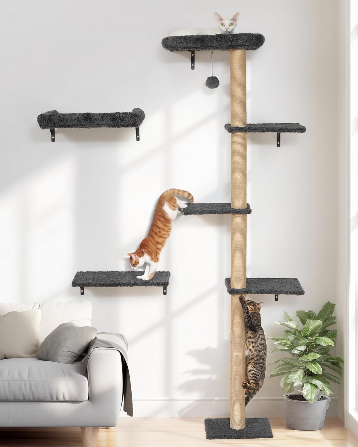Katzen-Kletterwand, Grau
