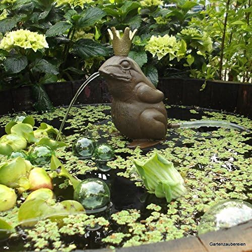 Wasserspeier Froschkönig