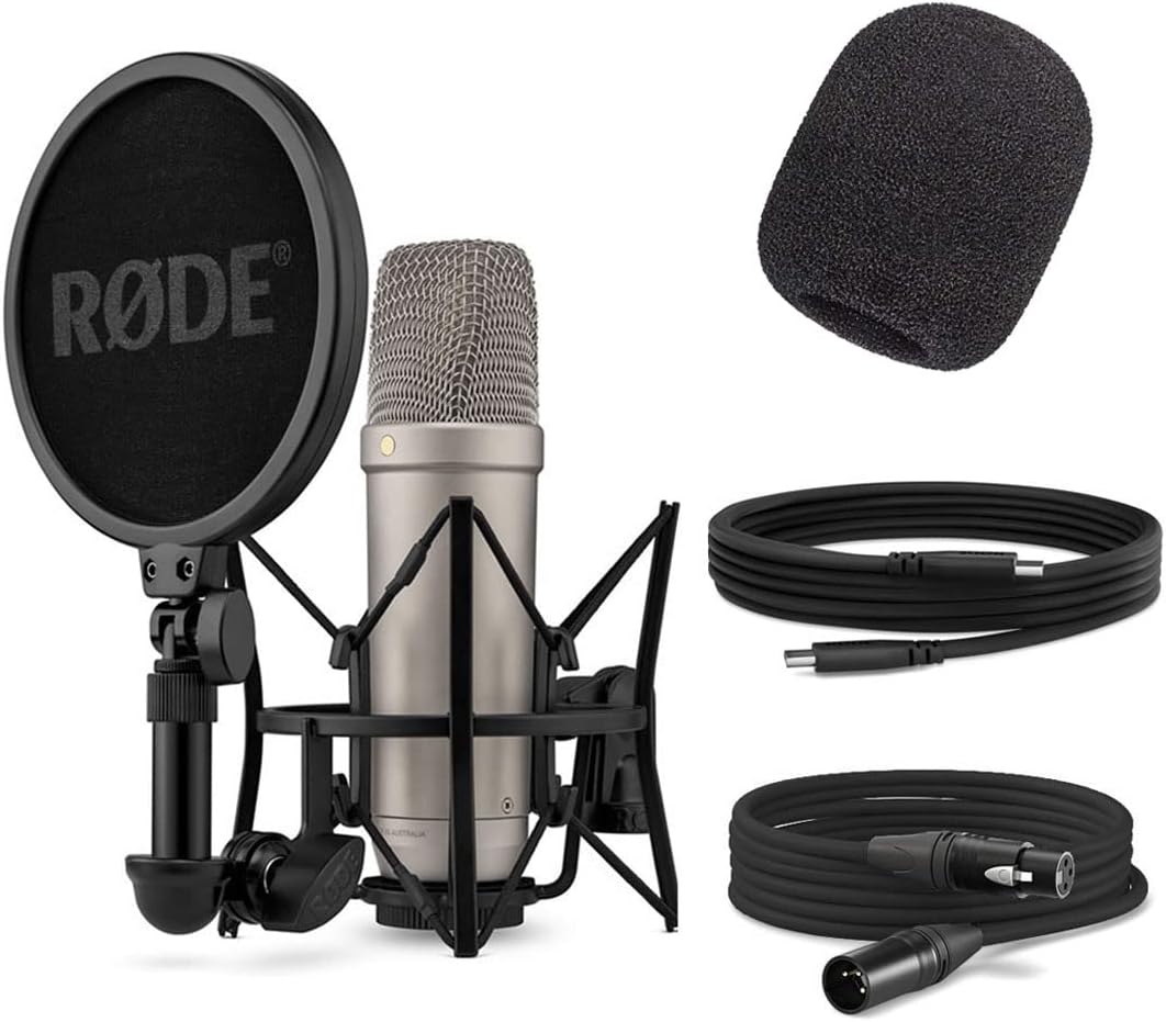 NT1 Mikrofon mit WS2 Popfilter